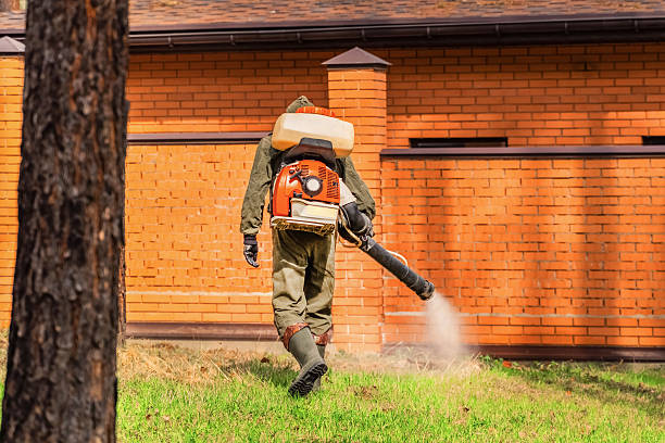 Bed Bug Clearance Verification and Documentation in Pecan Acres